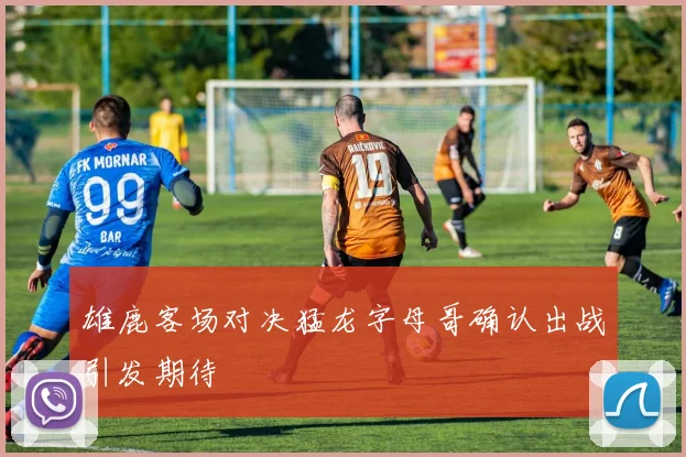 雄鹿客场对决猛龙字母哥确认出战引发期待