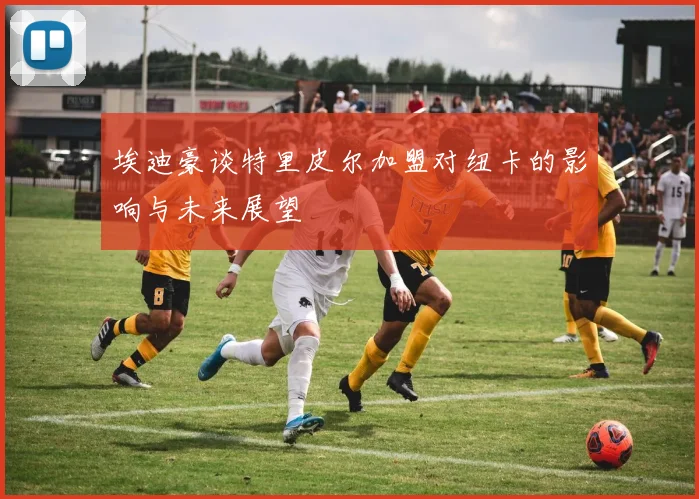 埃迪豪谈特里皮尔加盟对纽卡的影响与未来展望