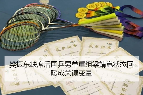 樊振东缺席后国乒男单重组梁靖崑状态回暖成关键变量 - xingkong